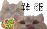 笑话十条：这个婴儿好丑，不适合当封面图