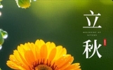 立秋将至，送给你20条温暖又走心的祝福语，发朋友圈必赞！