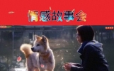 情感故事：《缘分来了》