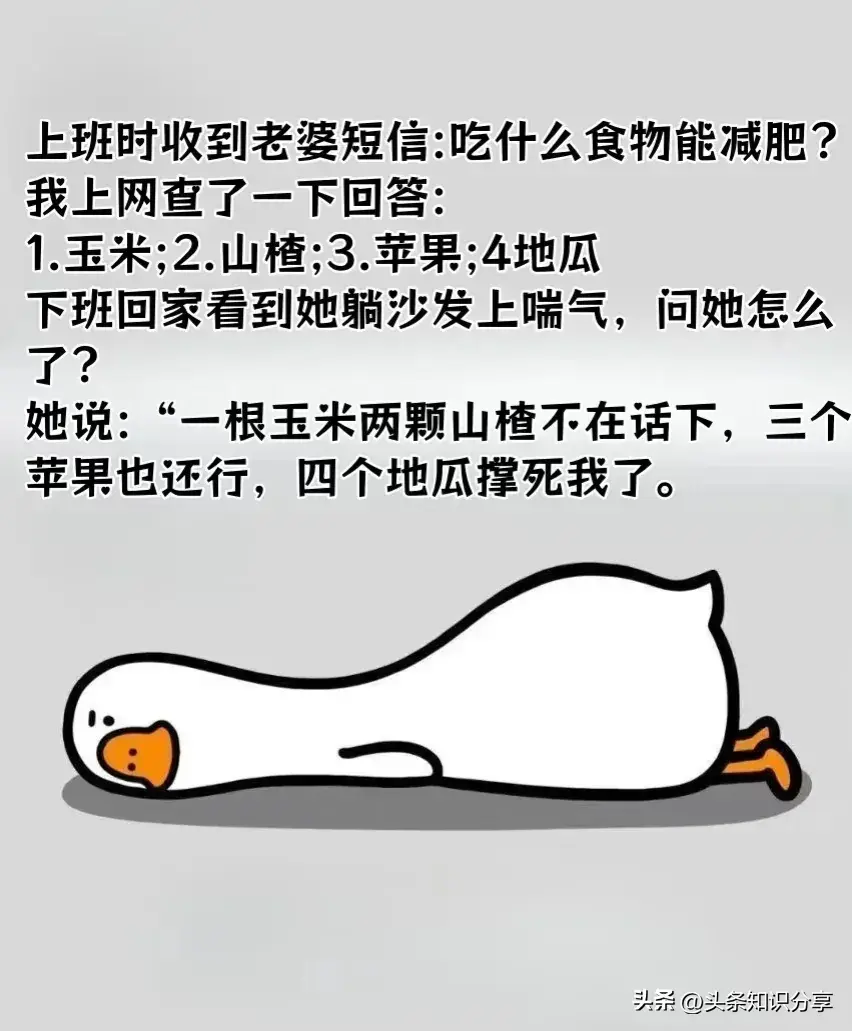 10个幽默笑话，来解解压吧！