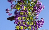 早安问候祝福语每日更新丨精选