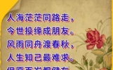 祝福早上好金句子，清晨问候语简短温馨