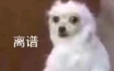 笑话十条：这是真惨，跟前连个碗都没有