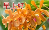 今日最新早上好问候语精选大全，深秋到，问候到；天转凉，祝福送