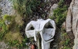 世界奇闻大赏：探秘全球离奇趣事
