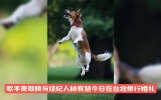 今日娱乐新闻：萧敬腾与经纪人林有慧举行婚礼，杨幂申请强...