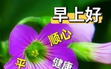今日新版非常好看的早安图片大全，祝福问候，开心幸福！