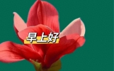18句最新早上好问候语精选，友谊的路上，我们珍惜