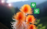 15句每天好心情早安祝福语大全，相互牵挂，祝福无价！