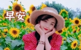 互相牵挂的早上问候语，真诚友谊早上好祝福语