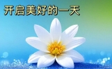 今日最新早安祝福语短句精选，问声早上好，事事都如意！