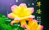 早上好问候语每日更新，正能量早安，很赞的短句