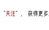 张家界大新闻！女教育局长的飞跃：中专学历也能副厅？