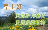 最新版最漂亮的早上好短语句子，早上好祝福早安短句子问候语精选