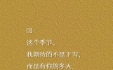 小众且暖心的冬日文案，适合在冬天发的心情说说，句句温暖