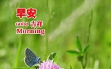 今天最新早上好问候语精选大全，每天问候，相互牵挂，彼此祝福
