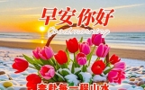 今日最新漂亮的早安吉祥问候图片，温馨唯美早上好祝福短语！