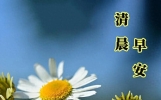 心情特别好的早安祝福句子，简短暖心，沁人心脾！