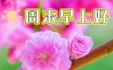 今日祝福语早安问候短句，暖心的早上祝福短语，新的一天吉祥如意