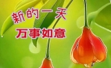 2025最新早上好问候图片大全，今日早安群发祝福语温馨问候短语！