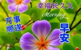 16句今天最新早上好问候语精选大全, 每天问候, 相互牵挂, 彼此祝福