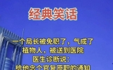18个经典笑话，让人百看不厌