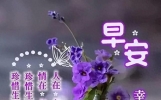 15张漂亮早安图片，最新唯美风景，互相牵挂，早上问好
