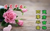 15张今日最新早上好表情图片大全，问候心情好，牵挂情谊好