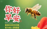 18张今日最新早上好问候语精选大全，开心送祝福，相互牵挂暖心间