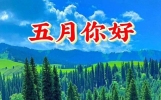 2025五一劳动节快乐！向劳动者致敬！祝亲友们节日愉快！万事如意