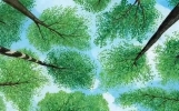 10个极致唯美文艺的句子