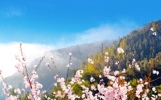 惊艳了时光，温柔了岁月的唯美句子，温暖了回不去的青春年华