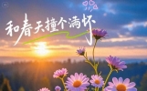 释放压力的励志正能量句子，句句干净治愈，让你元气满满