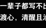 这些句子，一辈子都写不出来，句句渡己，句句渡心，清醒且治愈