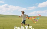 【自由】——10个治愈又搞笑的图文句子