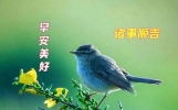 16张早上好最新版本今天早上好精选图片，问候最暖，祝福最深
