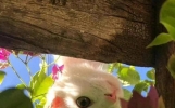 有没有什么值得摘抄的句子？