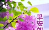13张今日早上好最新版本今天早上好精选图片，问候最暖，祝福最深