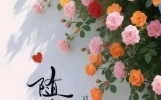 句子虽短，句句渡人渡己