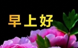15张今日早上好最新版本今天早上好精选图片，问候最暖，祝福最深
