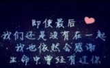 情感故事——情之殇