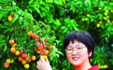 只为了梦中的那片荔枝红——镇隆妹子宏美春的创业故事