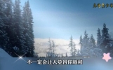 十个人生感悟的句子，句句穿透人心。