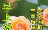 最新早上好金句送给朋友，早安心语每日一句，愿你每天乐逍遥