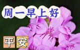 早上好问候朋友的温馨句子，每天清晨激励语，祝福你拥有美好一天
