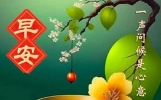 16句今日最新早上好问候语精选大全,每天问候,相互牵挂,彼此祝福