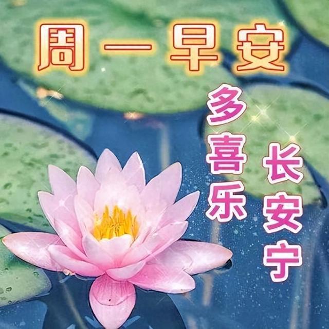 简短温馨祝福早安祝福句子，知心朋友早上好问候语，笑对美好一天