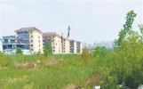 说说你的烦心事，人民日报客户端“曝光台”：盐城失地农民保障金待支付