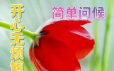 最新清晨友谊问候，发朋友圈的精美短句子，清晨忙把问候送