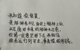 每日一抄，优美句子